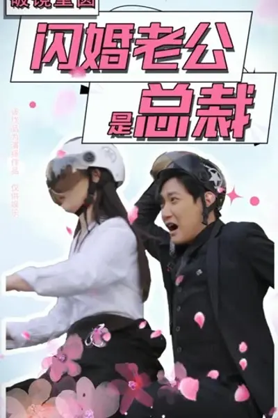 破镜重圆：闪婚老公是总裁