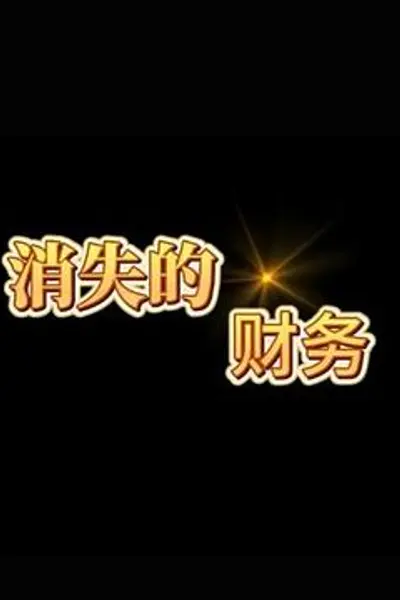 消失的财务