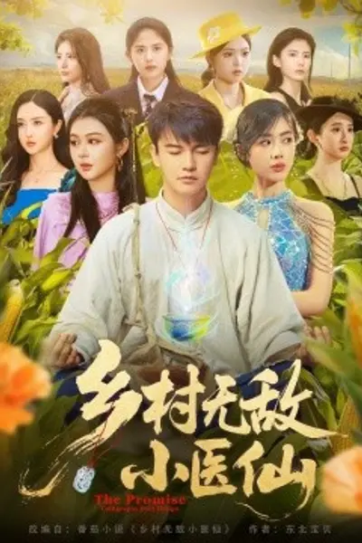 乡村无敌小医仙