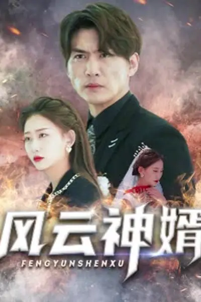 风云神婿