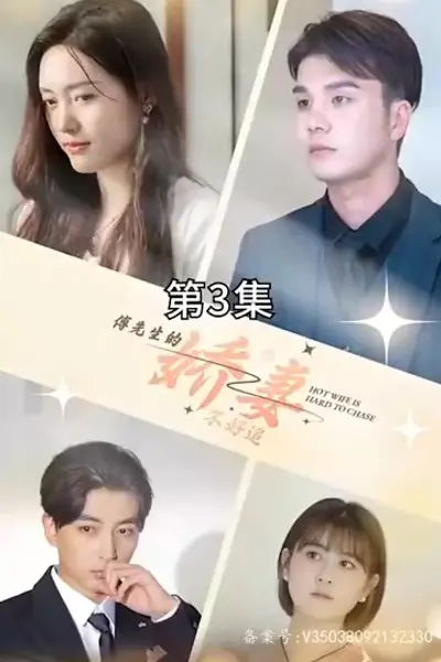 傅先生的娇妻不好追