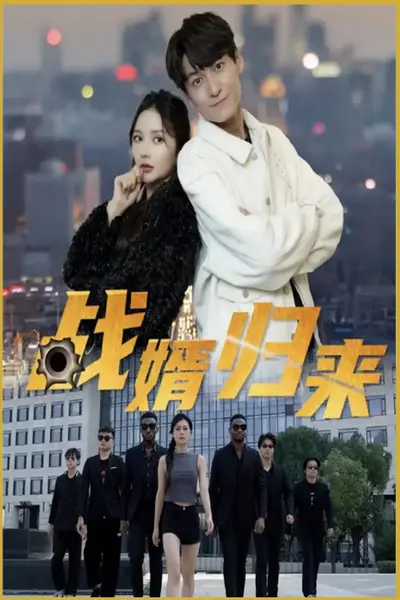 战婿归来