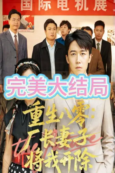 重生八零厂长妻子将我开除