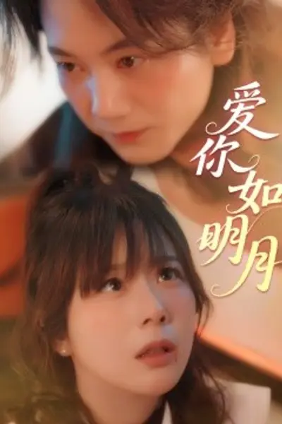 爱你如明月