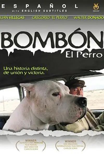 保镖犬大B