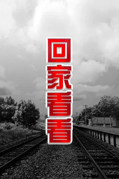 回家看看
