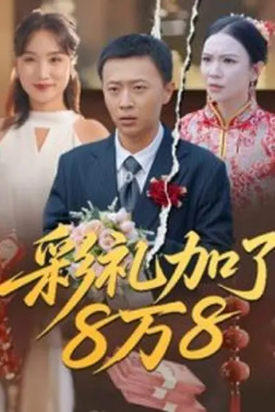 彩礼加了8万8
