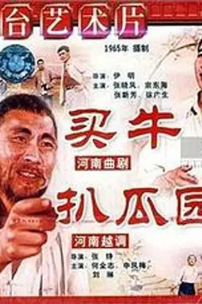 买牛