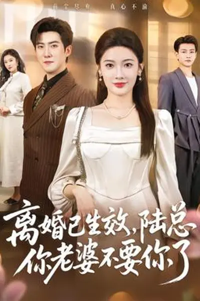 离婚已生效,陆总你老婆不要你了