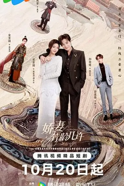 娇妻芳龄几许