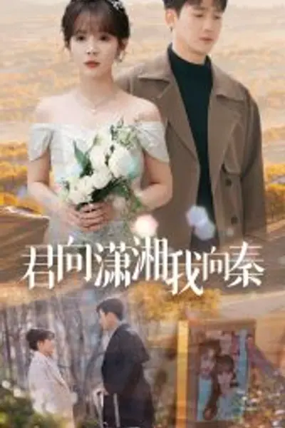 君向潇湘我向秦