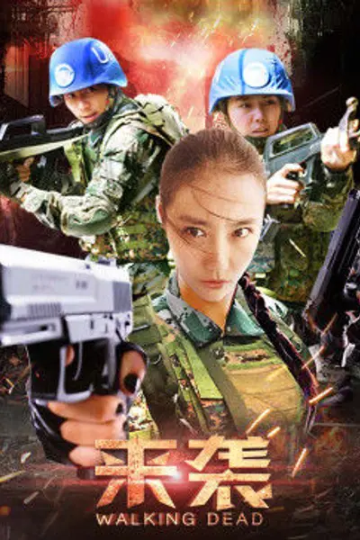 来袭