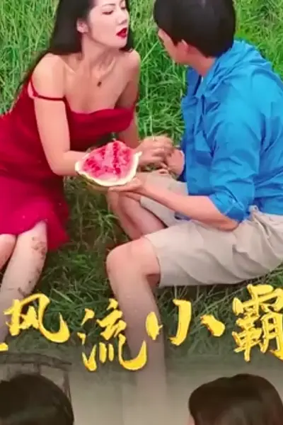 乡野风流小霸王