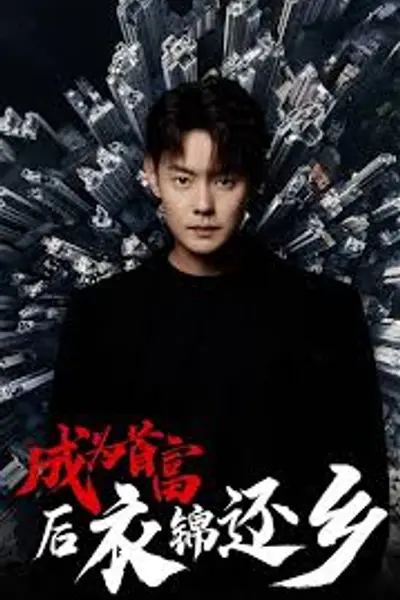 成为首富后衣锦还乡