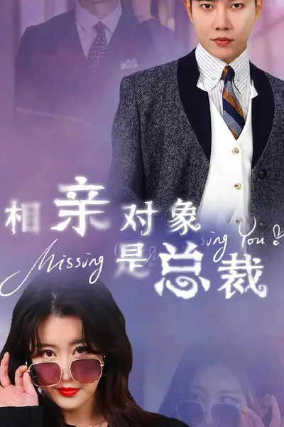 相亲对象是总裁