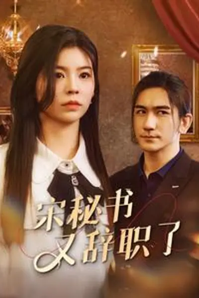 宋秘书又辞职了