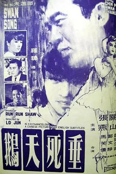 垂死天鹅