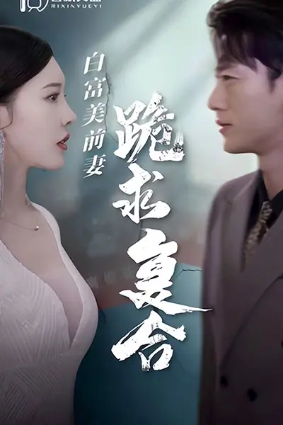 白富美前期跪求复合