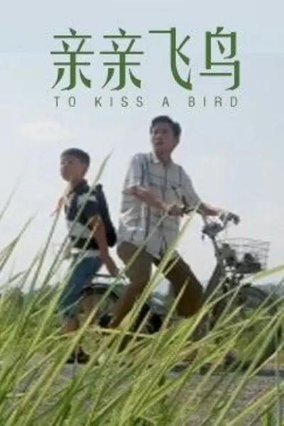 亲亲飞鸟