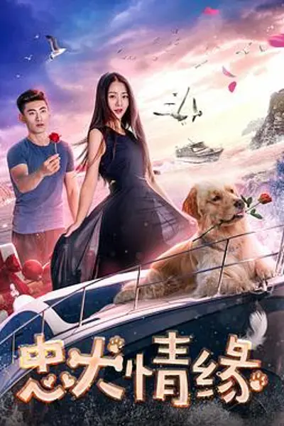 忠犬情缘