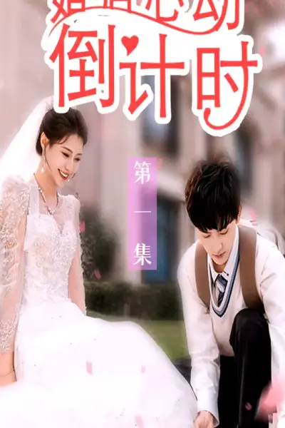 婚后心动倒计时