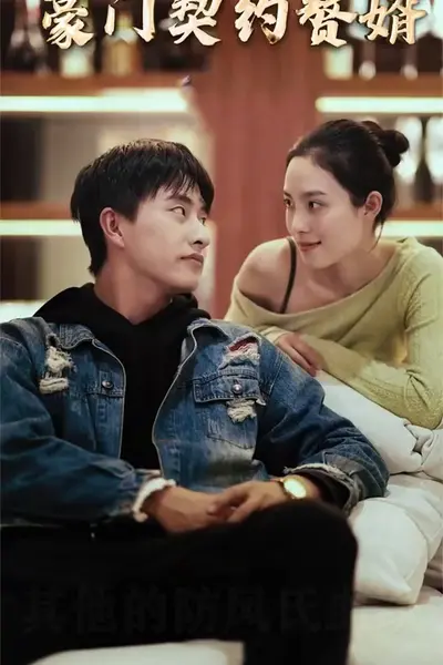 豪门契约赘婿