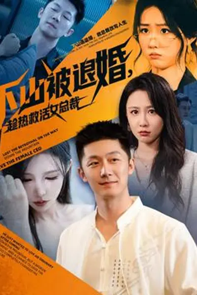 下山被退婚，趁热救活女总裁