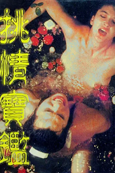 素女经之挑情宝鉴