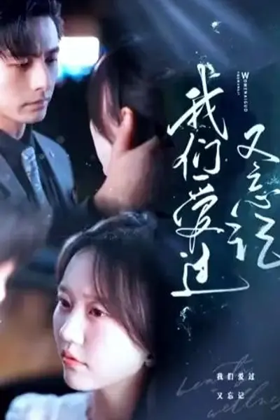 我们爱过又忘记