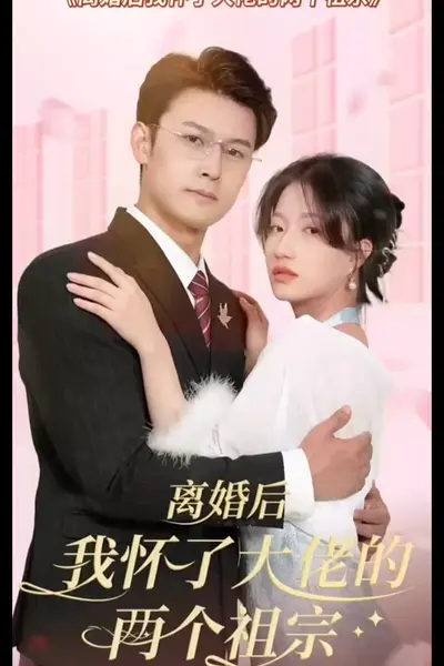 离婚后，我怀了大佬的两个祖宗