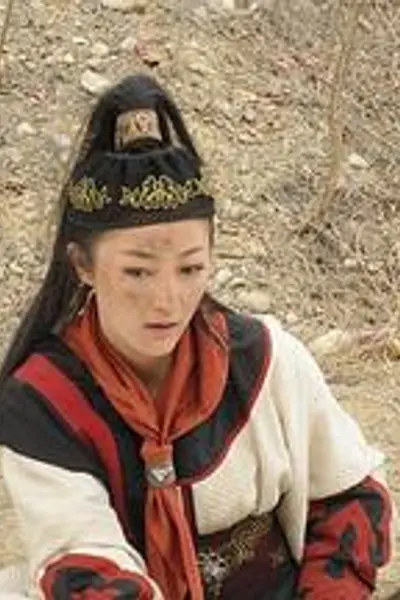 错情记