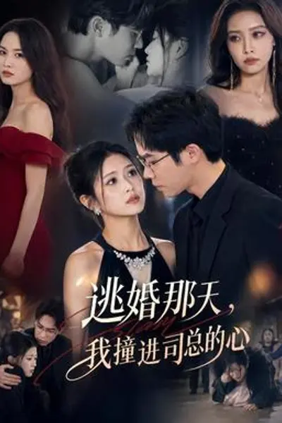逃婚那天,我撞进司总的心