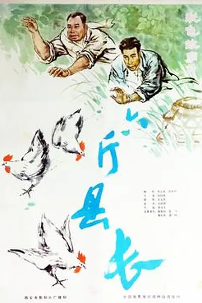 六斤县长