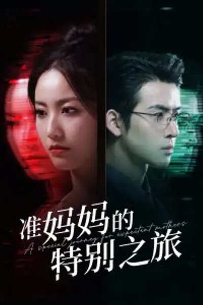 准妈妈的特别之旅