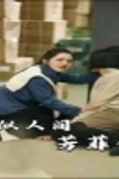 恰似人间芳菲尽