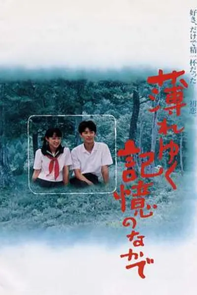 渐渐淡薄的记忆