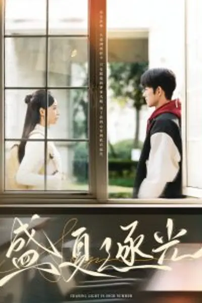 盛夏逐光