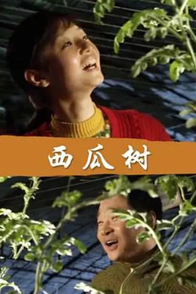 西瓜树