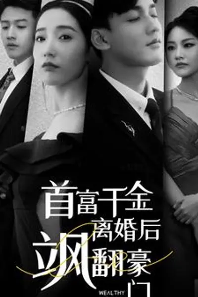 首富千金离婚后飒翻豪门