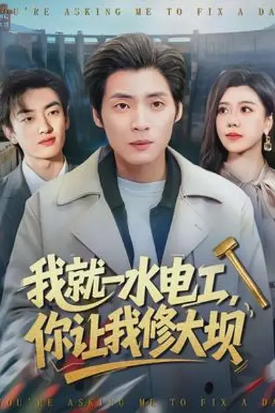 我就一水电工,你让我修大坝