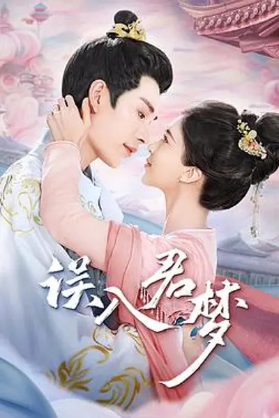 误入君梦