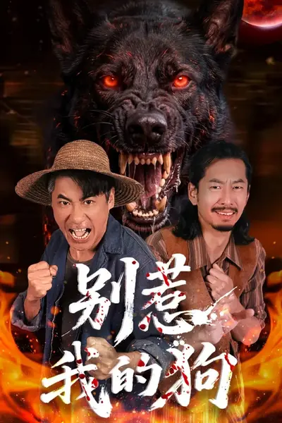别惹我的狗