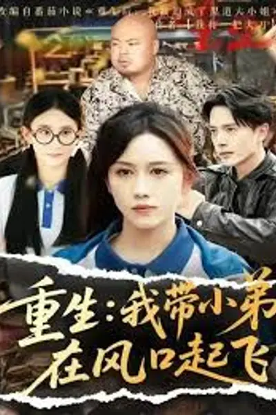 重生我带小弟在风口起飞