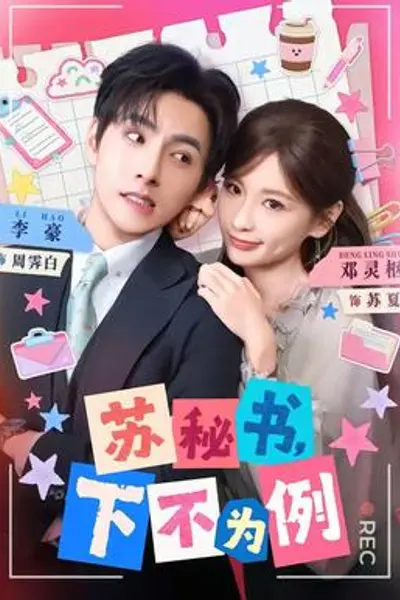 苏秘书，下不为例