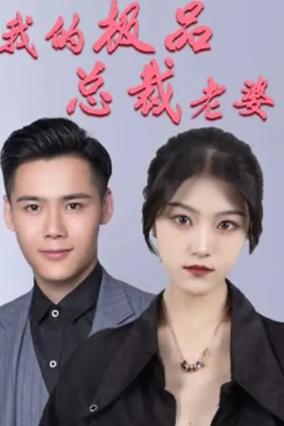 我的极品总裁老婆