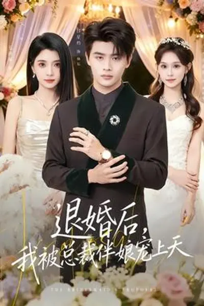 退婚后,我被总裁伴娘宠上天