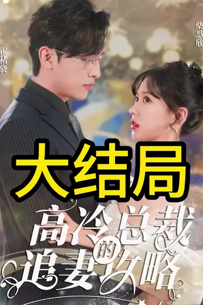 高冷总裁的追妻攻略