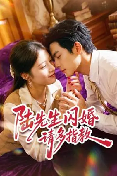 陆先生闪婚请多指教