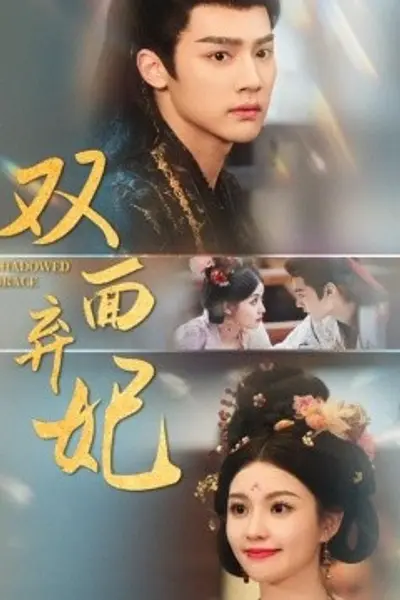 双面弃妃