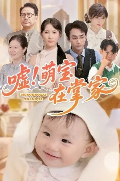 嘘！萌宝在掌家